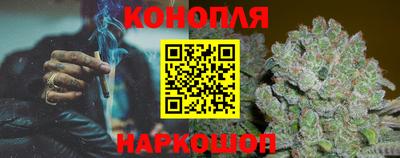 гашик Донской