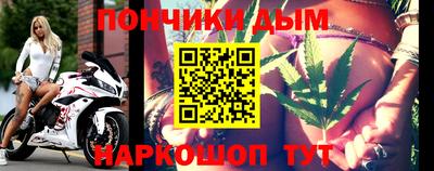 гашик Донской