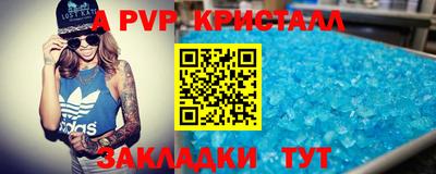 гашик Донской